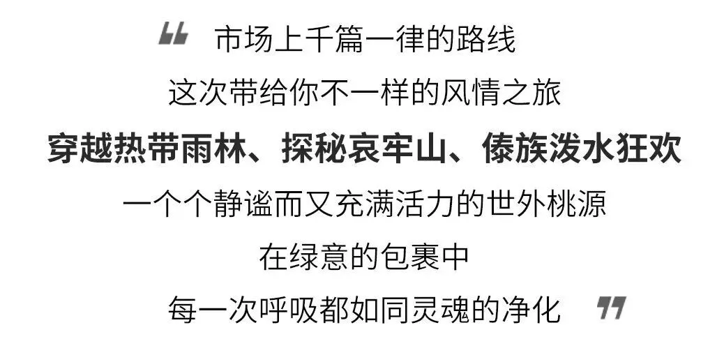 ce9c391db39505e6ac3adde835ef3b42-sz_456711