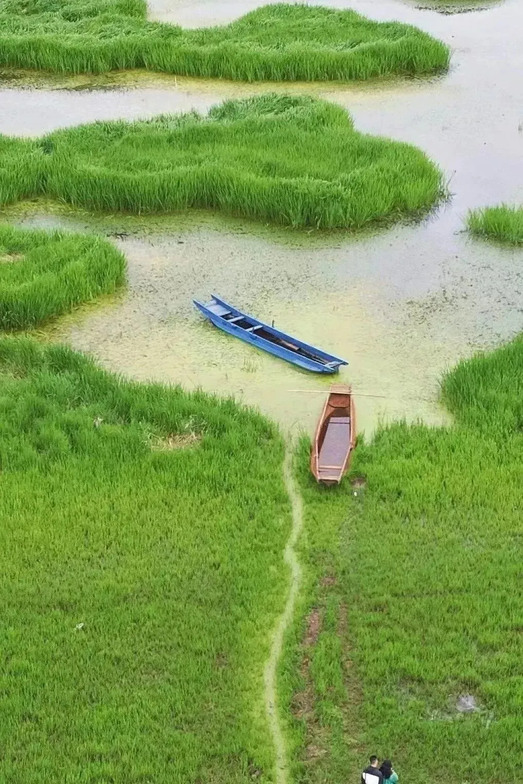 ce9d5d225a7687160199766958587854-sz_362913