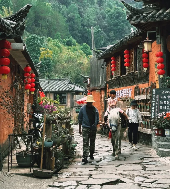 ceb3319a25a980575fe1fe177a941b89-sz_1425924