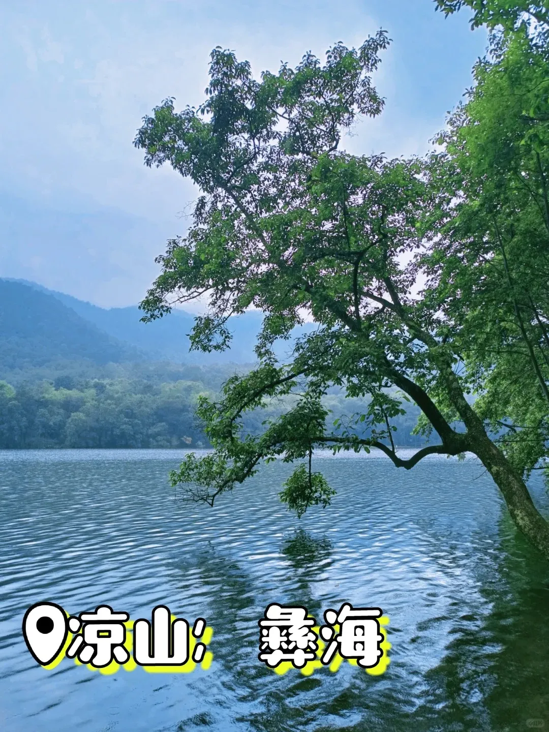 cece9e6cf2c8871f954923c9f955d88d-sz_569891