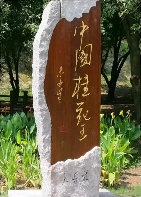 cf2371d06c5ba97f578378e3fd8a8332-sz_113451