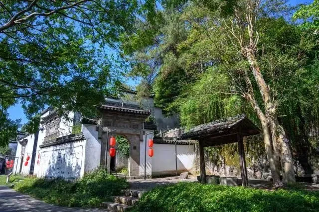 cf269646a1d77c71e3f994f2e2bbd7dc-sz_182680