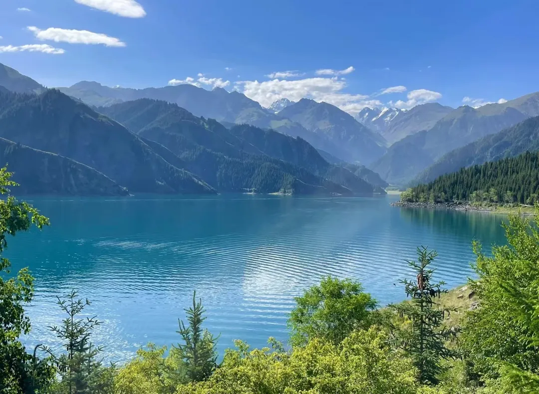 cf35c97a7f1f44478a62ff69a4767ad7-sz_4707598