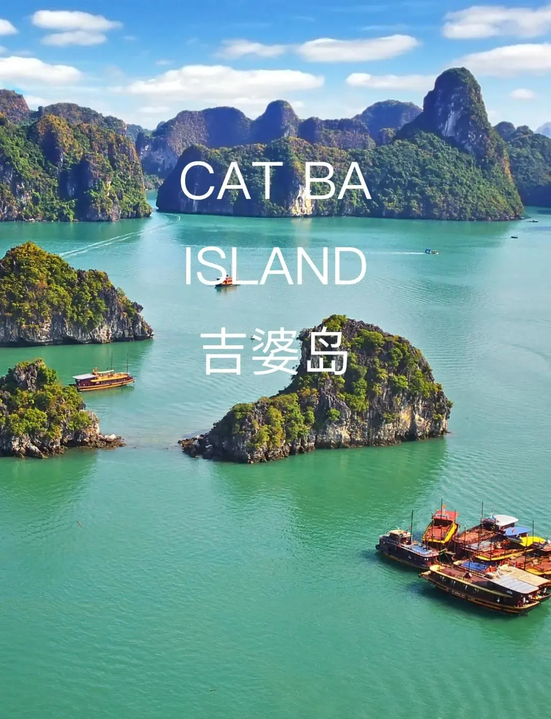 cf4bc08e57f41329a6f331610d5886f2-sz_226097