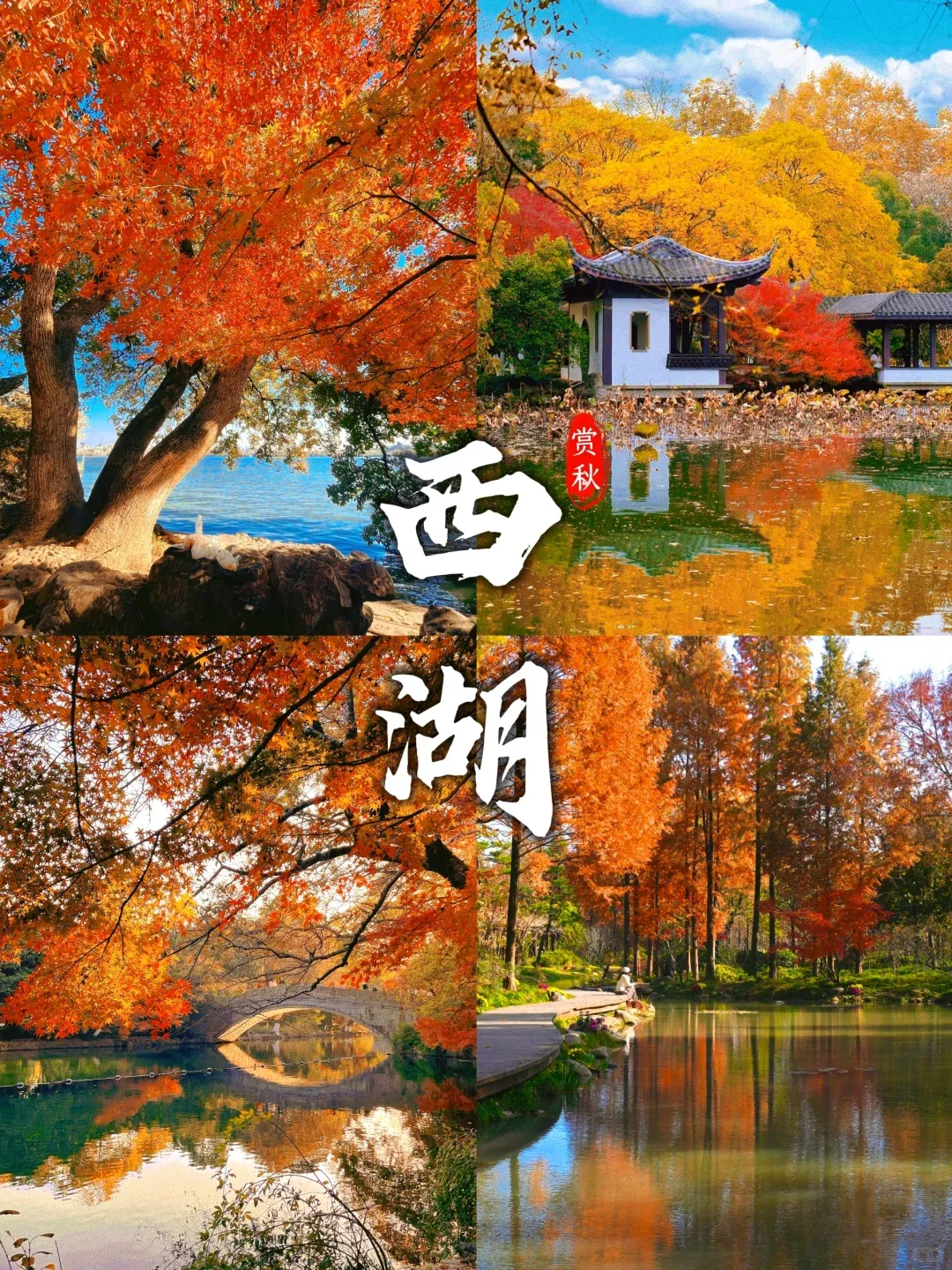 cf593397727f04992b052d9942d4abe3-sz_4319902 cf593397727f04992b052d9942d4abe3-sz_4319902