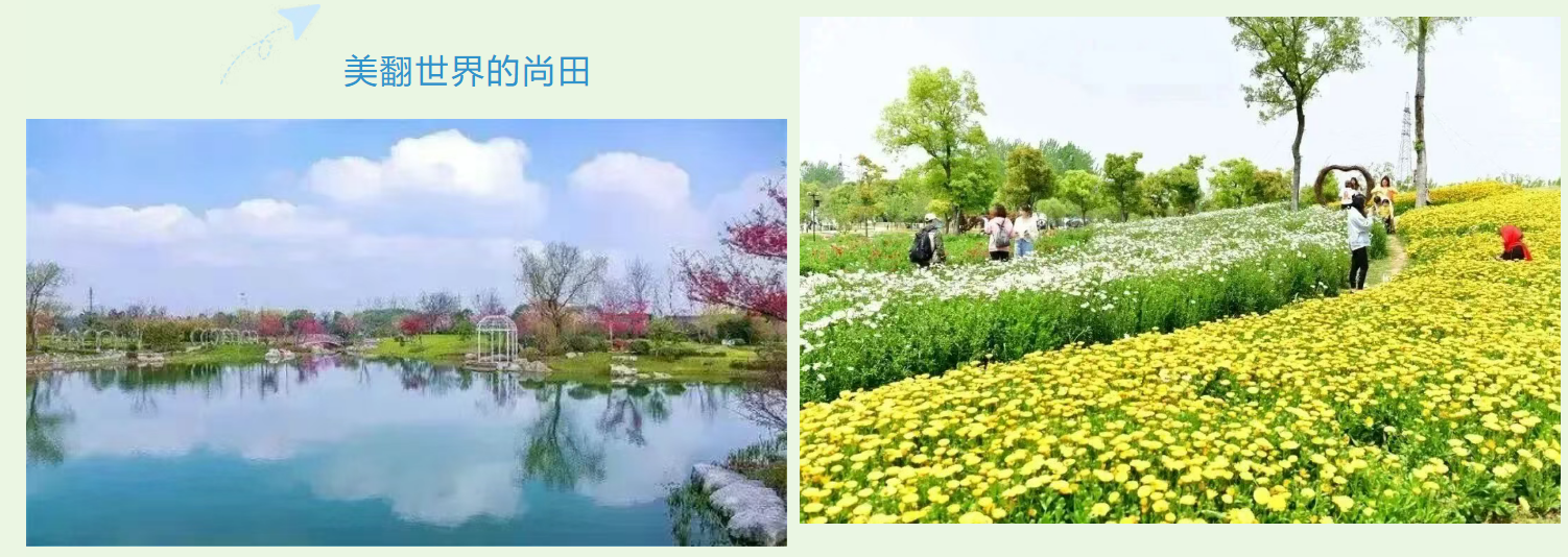 cfaf037c591da36106daf4068fe644a2