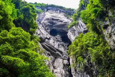 cfc75344a3ab0781267b458a454b6cd4-sz_47301-1