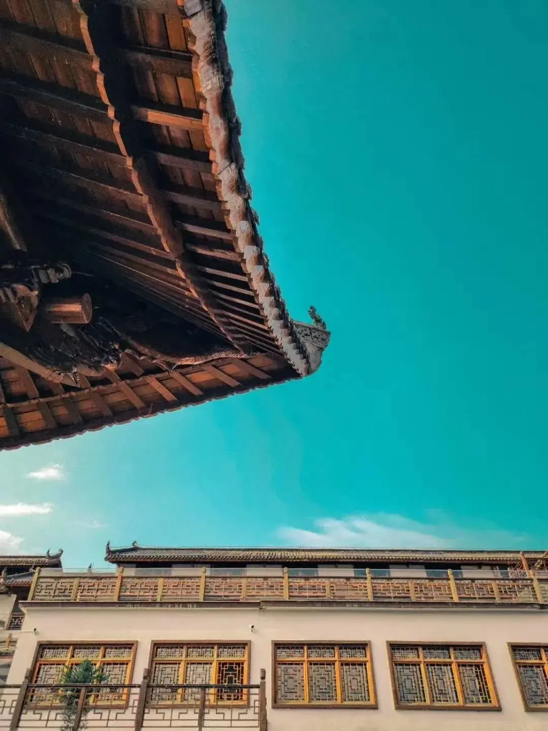 cfea250e7ab282e79439e040e596e278-sz_169482-1 cfea250e7ab282e79439e040e596e278-sz_169482-1