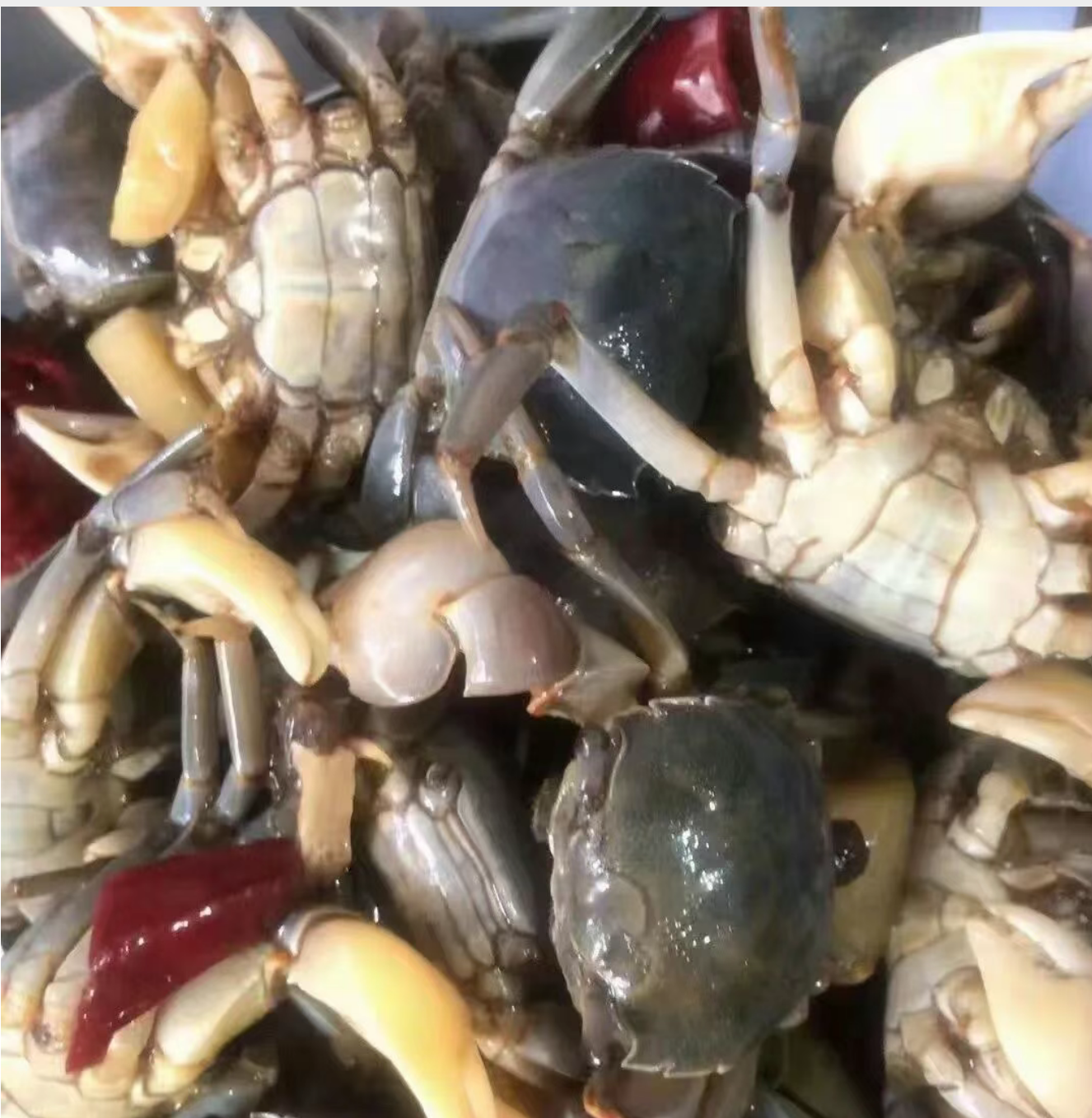 d0271f5f48605dadabb20148dba4aacb