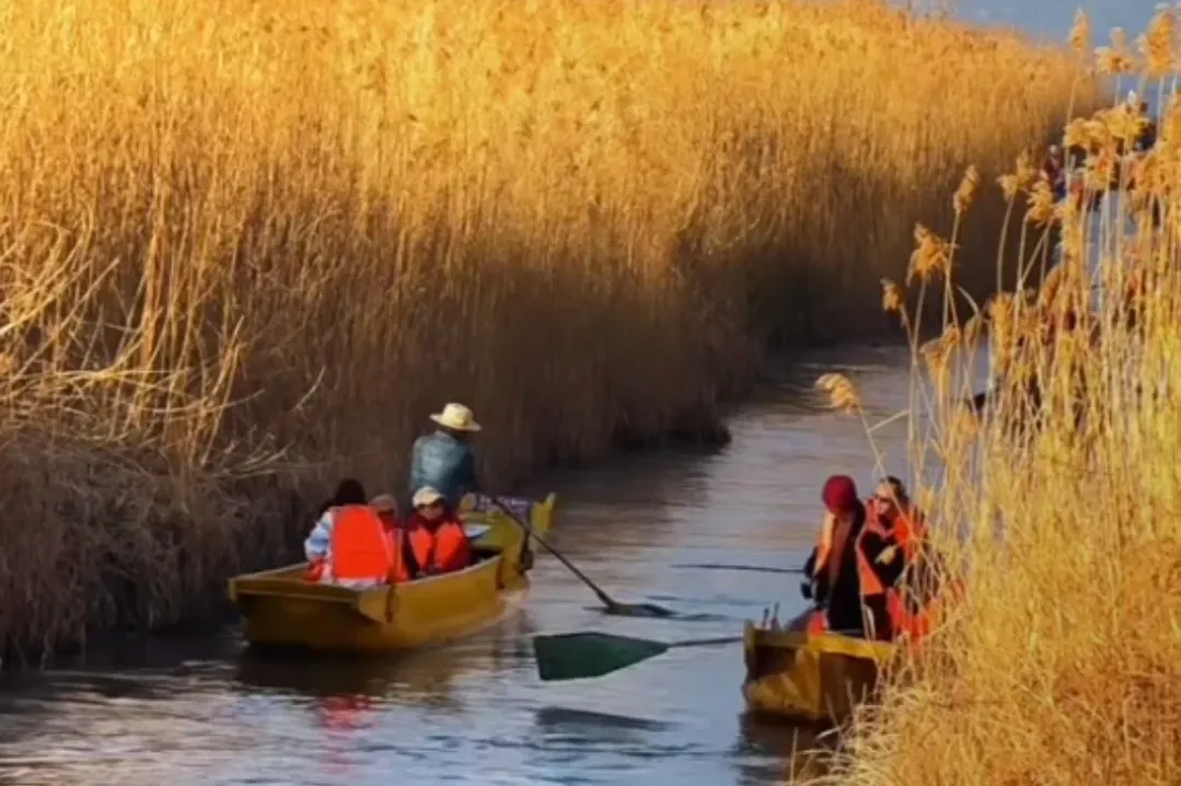 d054f98d83539896a28567ef3fe1003a-sz_2619837