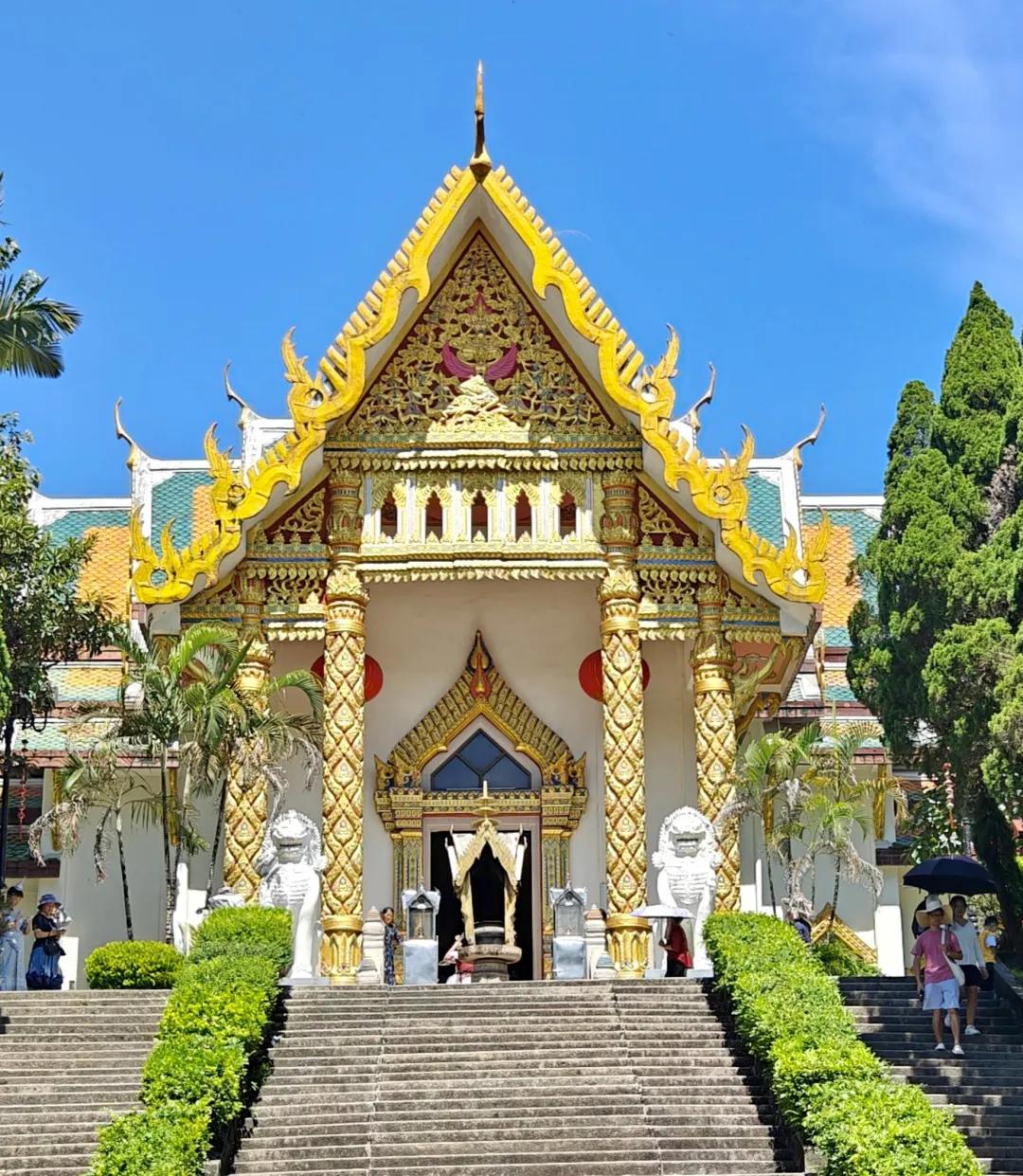 d08461186ef6799c371f7fcea4632e86-sz_803057