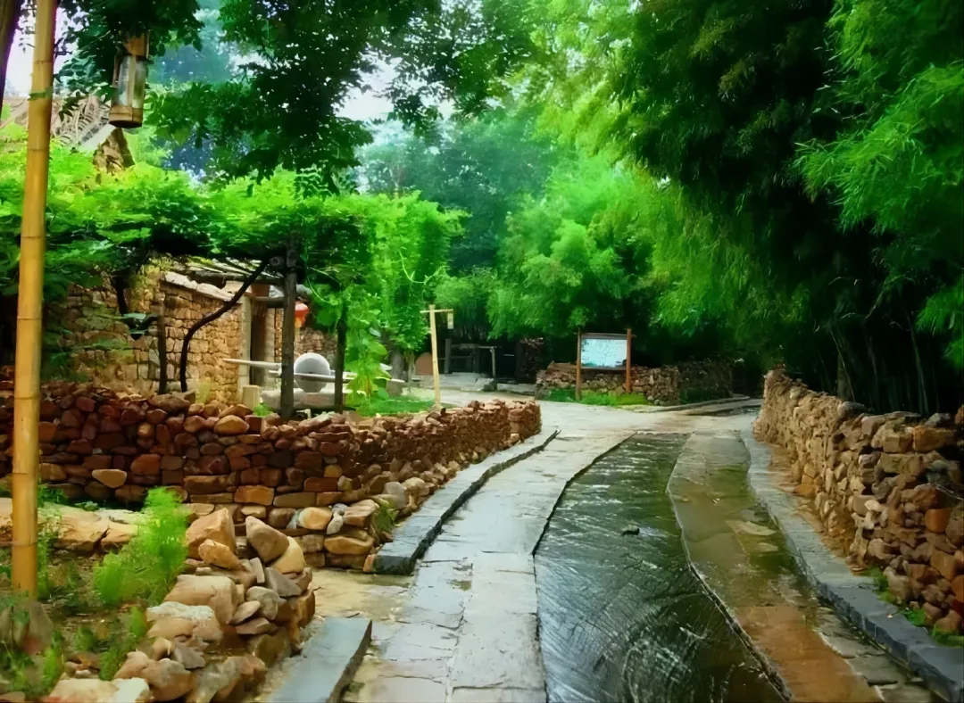 d09c3b3414e34dae8649a2e2fe5831bc-sz_1334022 d09c3b3414e34dae8649a2e2fe5831bc-sz_1334022