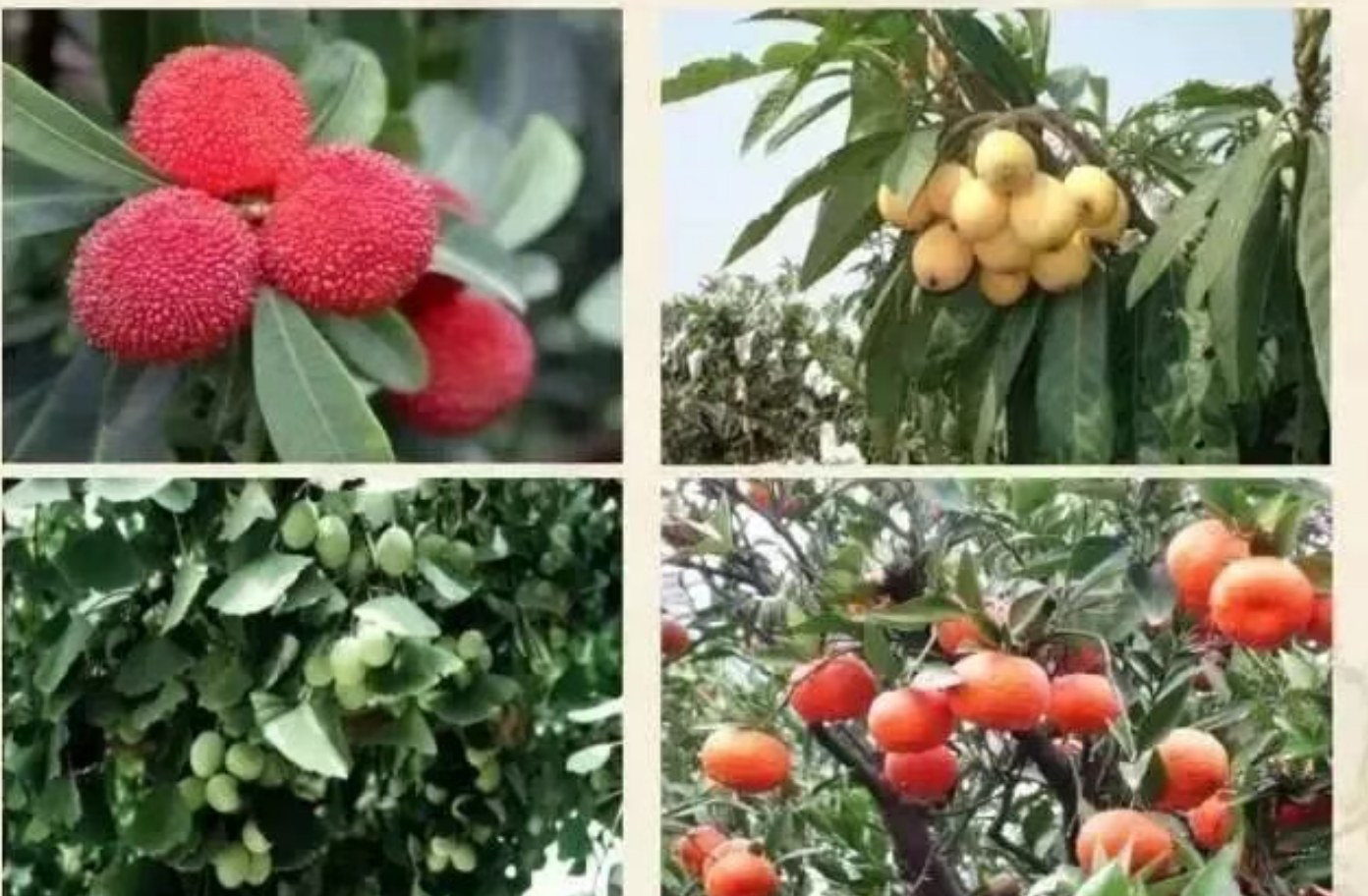 d0de0b57682809e7a49e65bc8e7f5259 d0de0b57682809e7a49e65bc8e7f5259