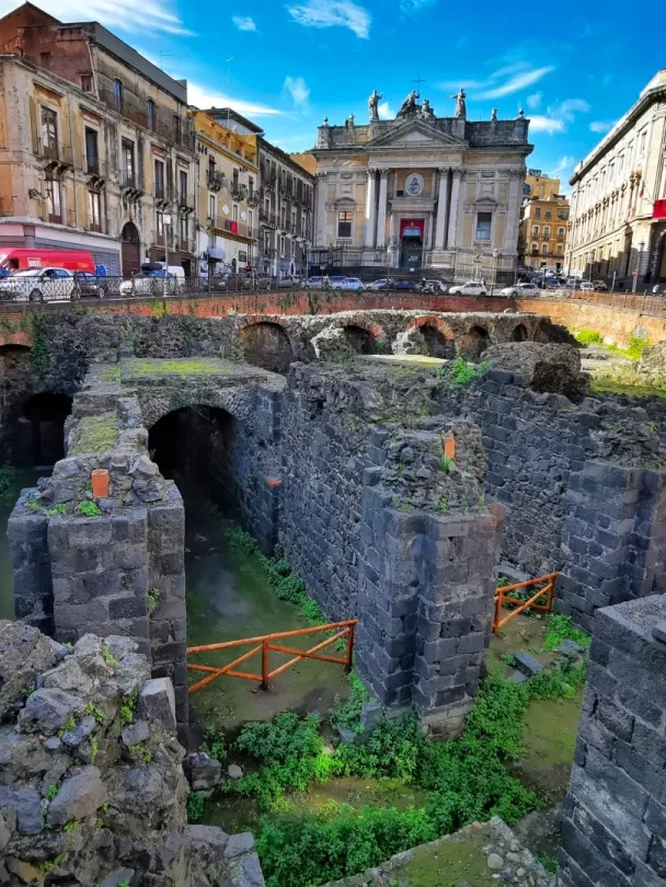 d0e104f166bd870a882488a3afae039c-sz_664819