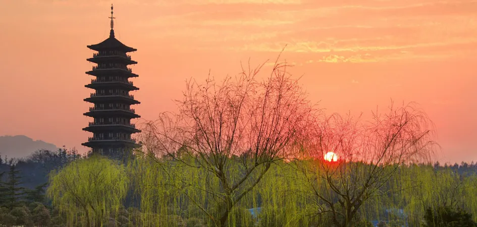 d11a7e5e3b6b36b63ee42145c5c65e96-sz_637009