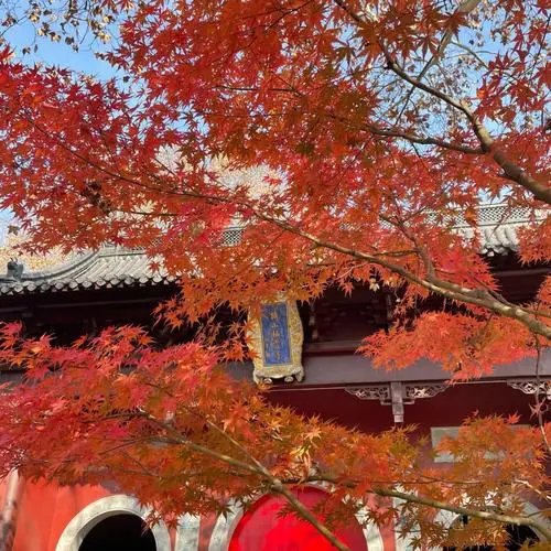 d146f6495c0a110d4b8780374a0be821-sz_82873