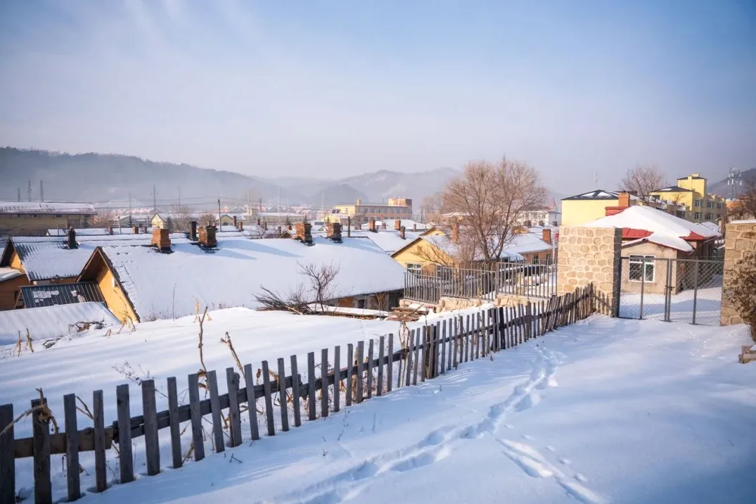 d1b83c83e4a0e42fd329bed4ea1ef7cc-sz_431553