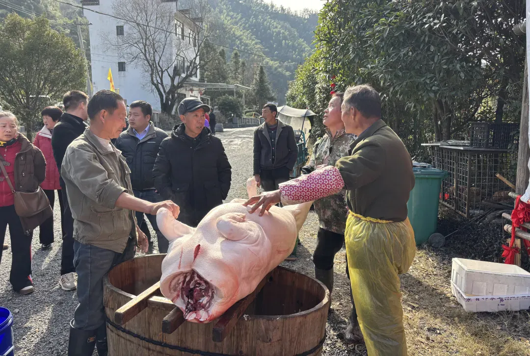 d1cb375f1d5591f21ca18f3ef9465bf4-sz_1489581