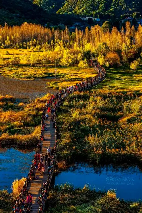 d1d0c6d728edcc7c01f9ef6c3fc594bc-sz_105470