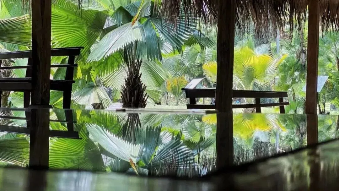 d1d122a9f224918398cf4222cac874a4-sz_151375