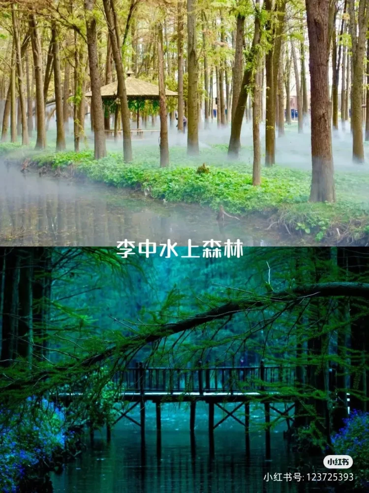 d1d6ce6cb66888db7917aca53f97b2f8-sz_1325824