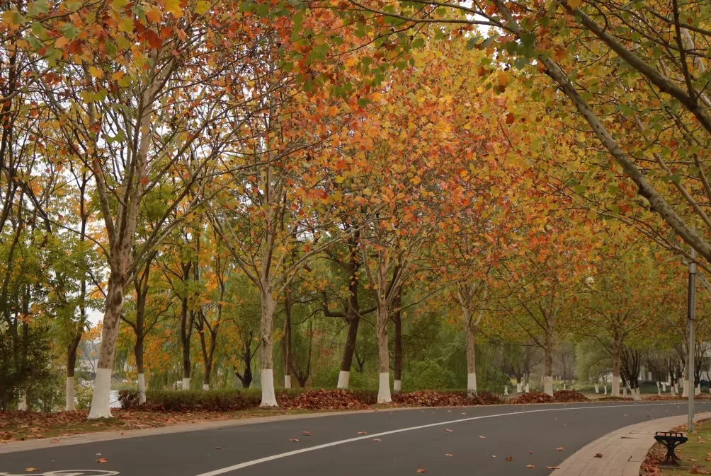 d2005eb7175396d71e9be1ef1af27050-sz_703246