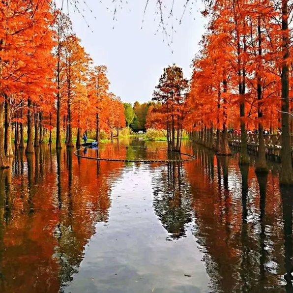 d214c828e10d0a247957e49012eb0c92-sz_1316540 d214c828e10d0a247957e49012eb0c92-sz_1316540