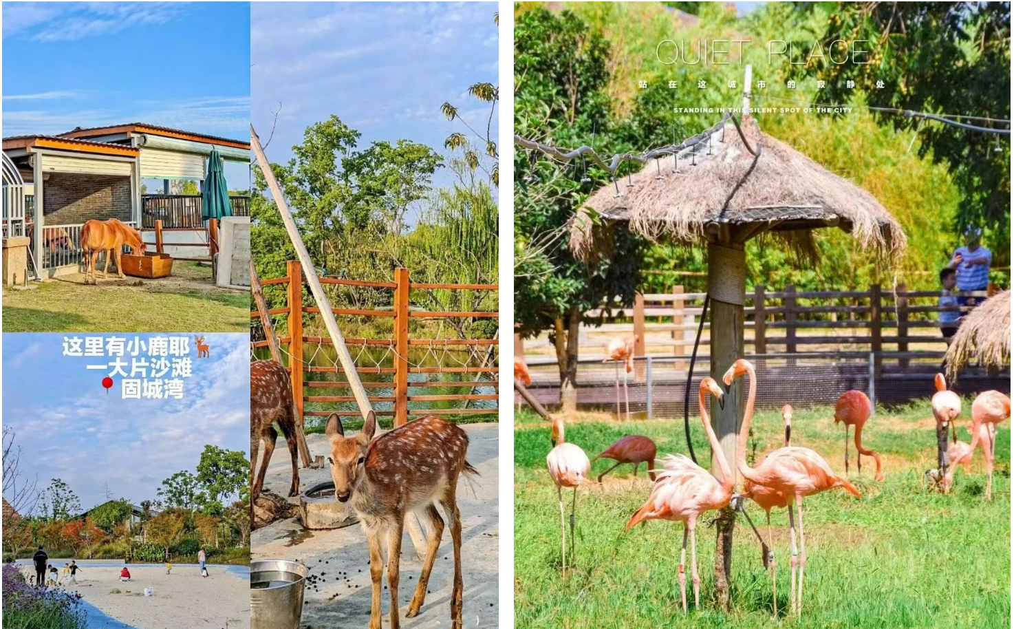 d21739e1c4f52479ff119658e6df0648