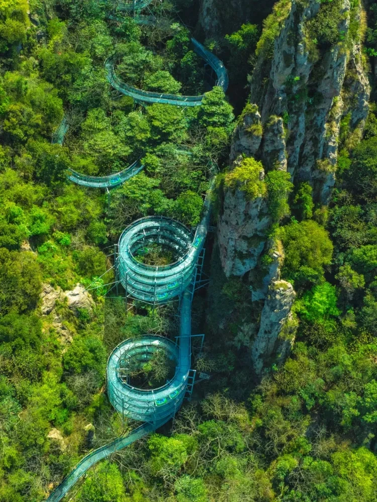 d22f4c7a48f9d524f6bb03cca1c662ff-sz_4709996