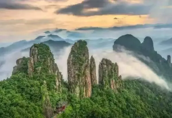 d257a53f15adef747b9fe7a863d58f1e-sz_78263