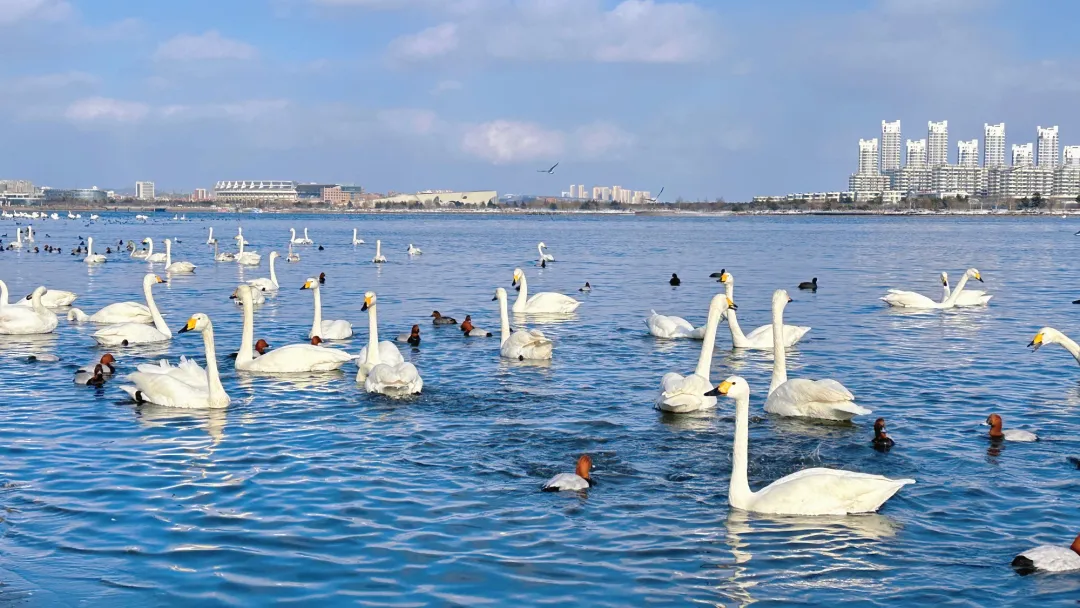 d2707ae84e2acc56056f954cd24a22a0-sz_555231