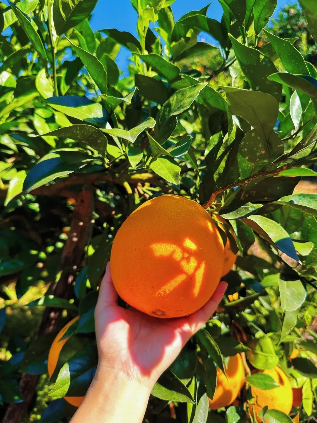 d2d3cb59ef63732c8a87150b75beaade-sz_406112