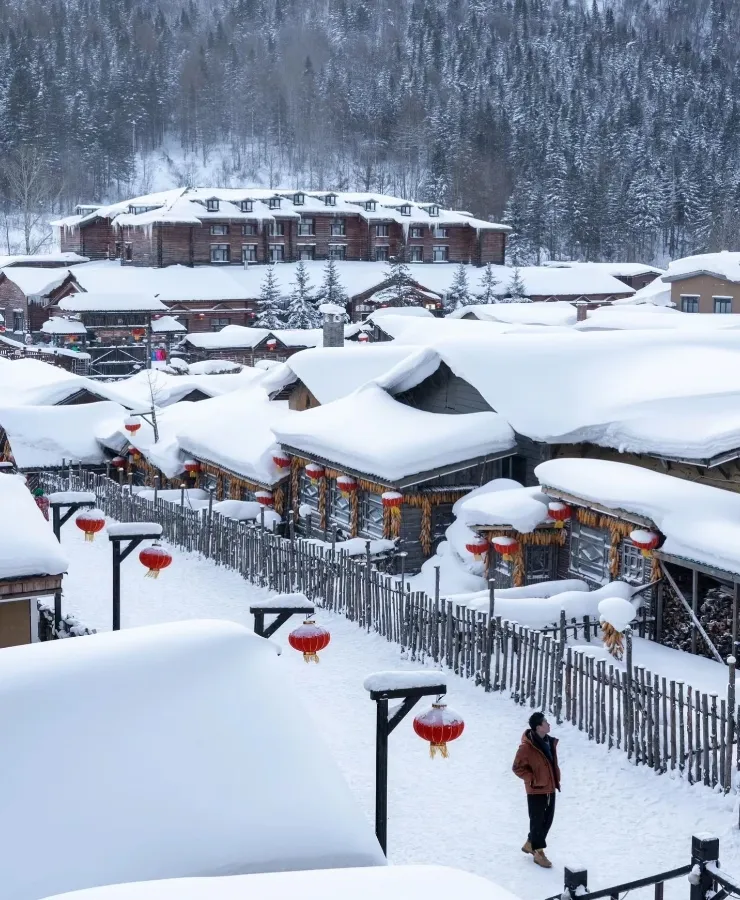 d2d587d421479dd3ddb4cfc78e9c4a01-sz_500816