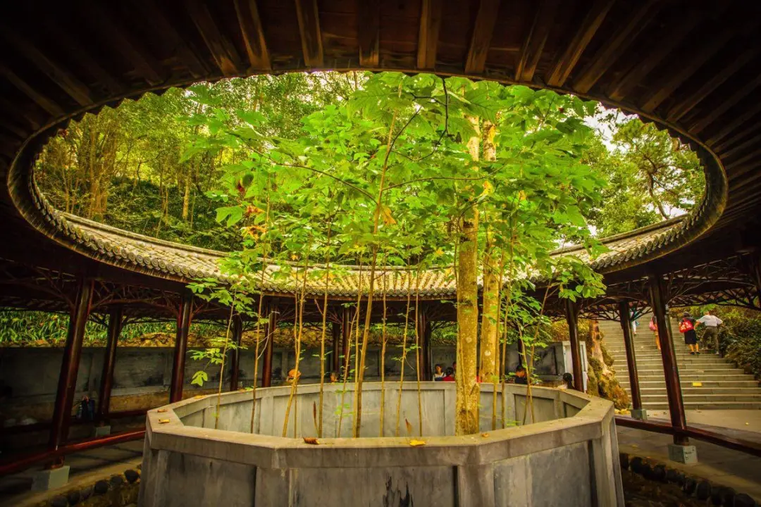 d2d5a58d581fc56dcaea882ee07fcb7a-sz_216228