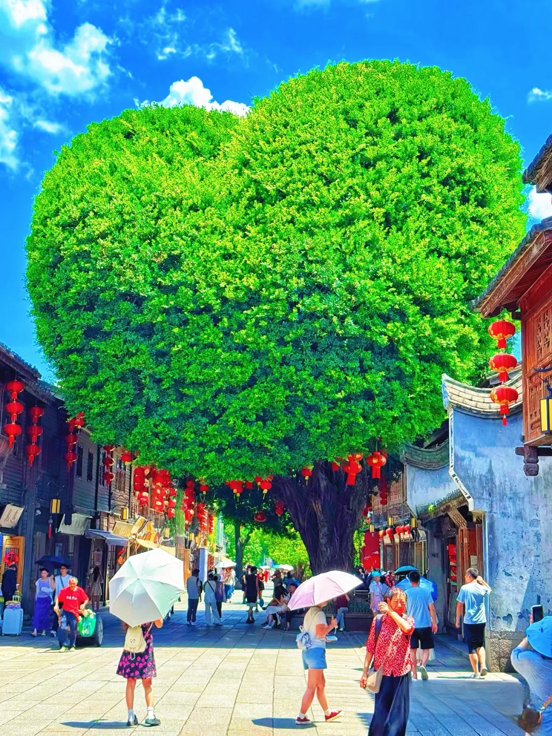 d2dfceb9ecad081f4dc9898515d7a923-sz_4591399 d2dfceb9ecad081f4dc9898515d7a923-sz_4591399