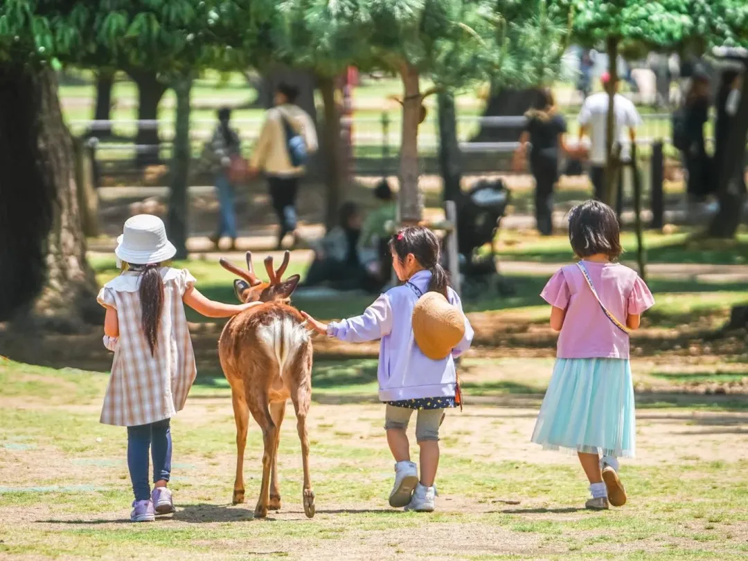 d2e01c28d5c11416e29f33814e6670c1-sz_416797 d2e01c28d5c11416e29f33814e6670c1-sz_416797