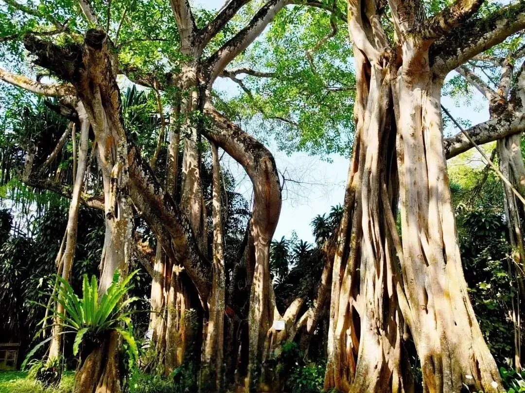 d2e386c2142d2379dc331d4ad7a4a9ce-sz_332759