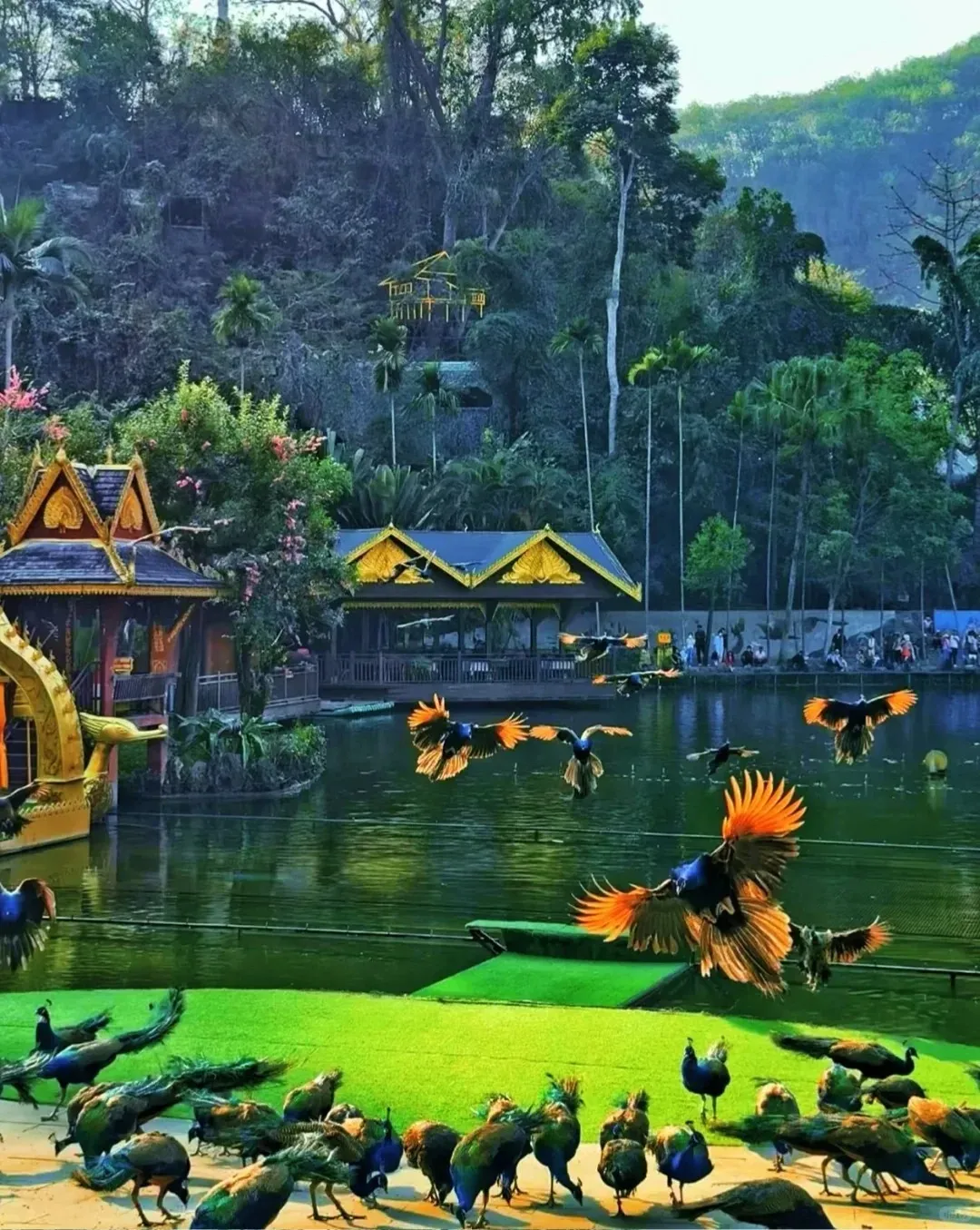 d30f99ba193fc0fe36f7646c9eb393c7-sz_3822601-1 d30f99ba193fc0fe36f7646c9eb393c7-sz_3822601-1