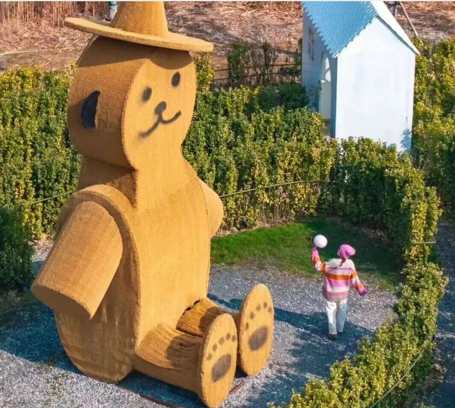 【299纯玩大赠送，礼遇盐城】2早4正品当地味，游大纵湖东晋水城赏湖光水色、逛草房子民俗博物馆忆旧时光，赠海参酱手工香酥豆皮!