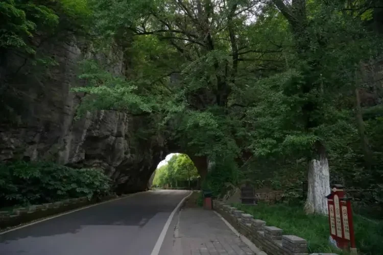 d39ac9e2d9519e7c685e4769057a39fa-sz_122911 d39ac9e2d9519e7c685e4769057a39fa-sz_122911