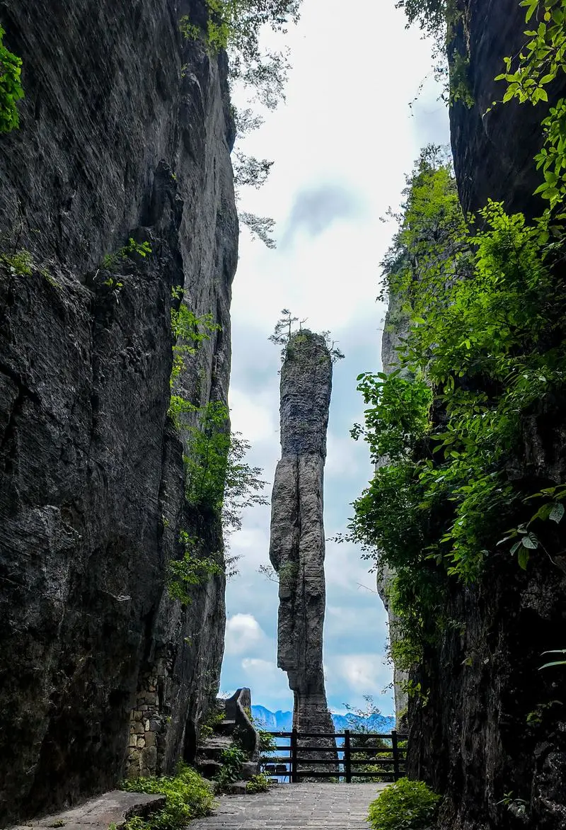 d3ac5850dd5e4092711a190191a3a60e-sz_251811