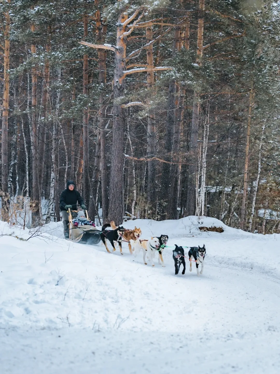 d3b519bef828d9005a8da21d7fb8dcc6-sz_624071