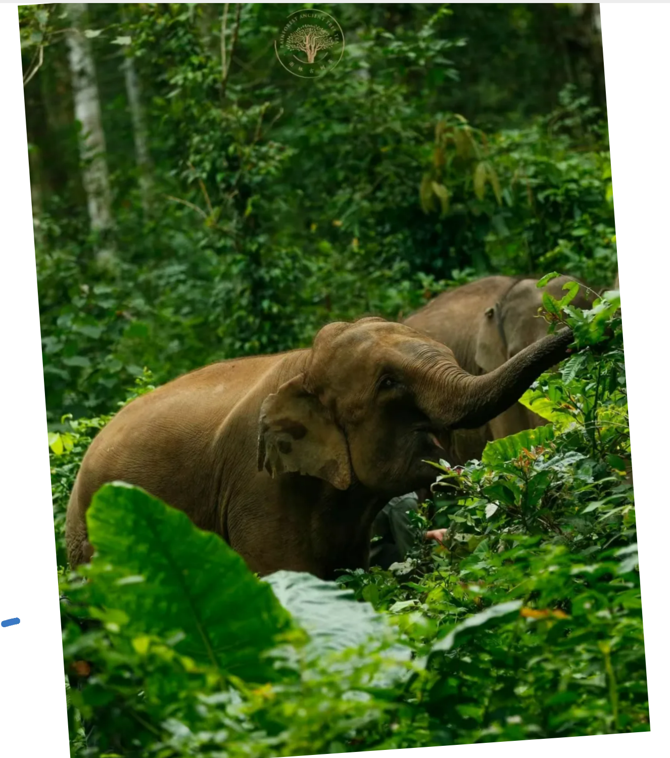 d3df7d4b3d15f323d88b6a73a36feaae