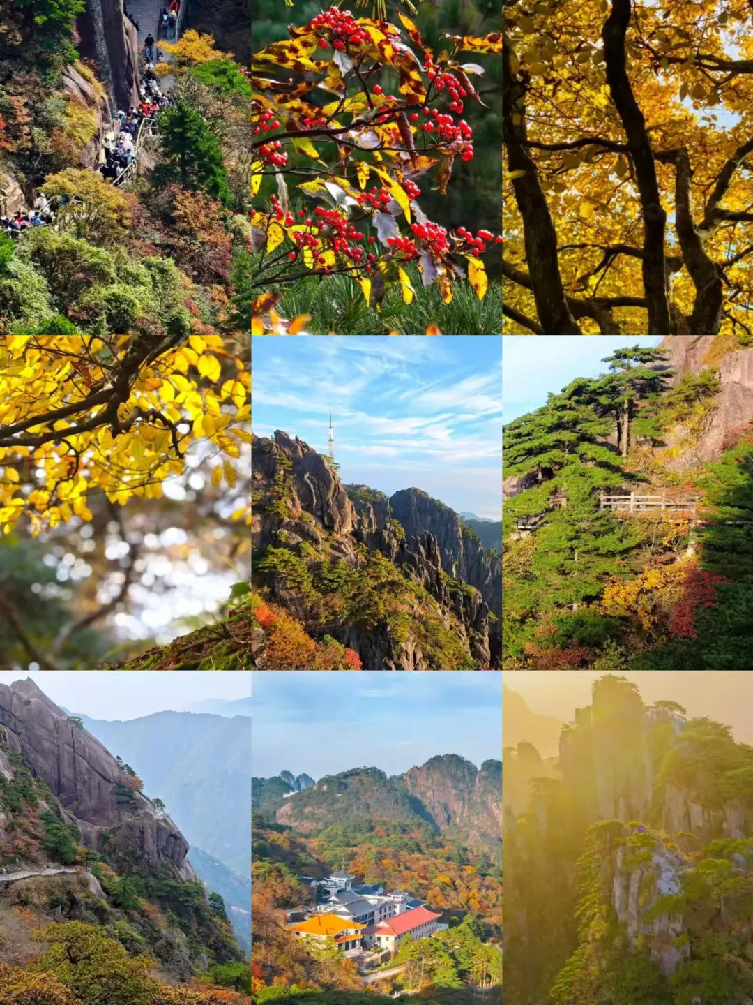 d4151efd114694981d9e262be6b1012b-sz_485215