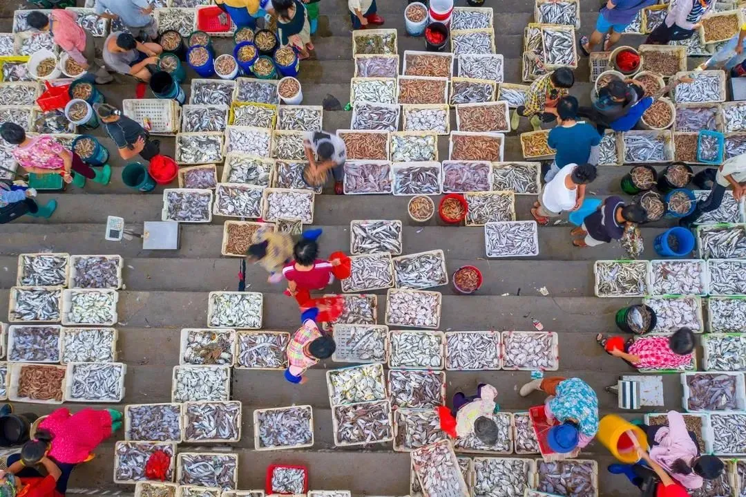 d42551075d4e28e33a22f37175af42ac-sz_236394 d42551075d4e28e33a22f37175af42ac-sz_236394