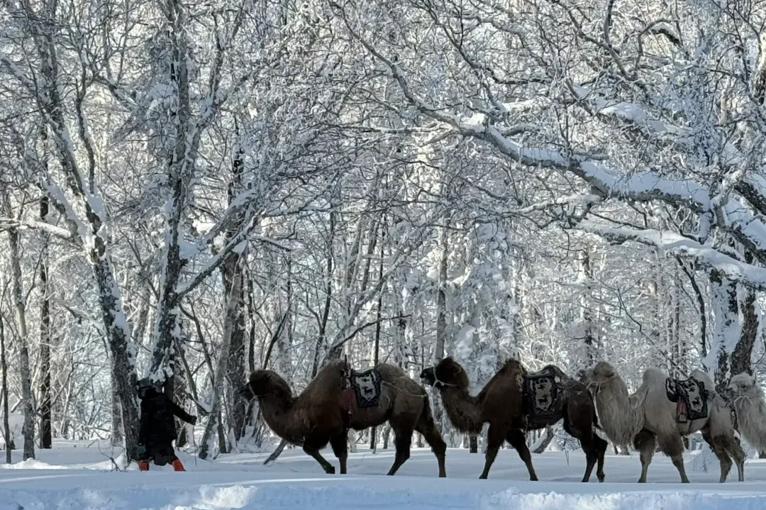 d48efd24f8305070e9c55b8e0b070226-sz_2715958 d48efd24f8305070e9c55b8e0b070226-sz_2715958