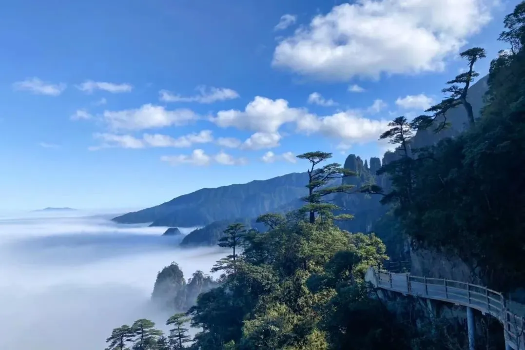 d4c95b2cab850c3cdbbe72fb04b6aefc-sz_85084