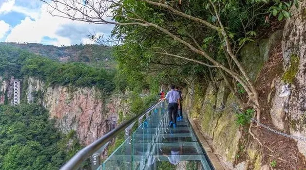 d4edc2ebe3338a661d967f60f14ab202-sz_488330-1 d4edc2ebe3338a661d967f60f14ab202-sz_488330-1