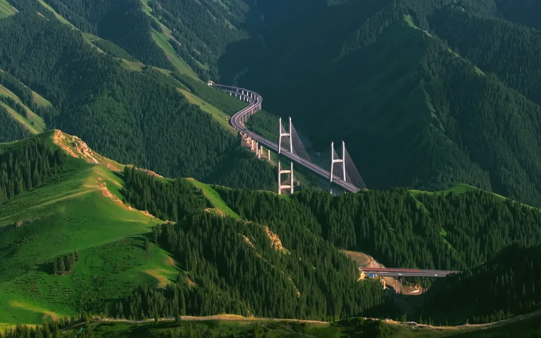 d4f3e6782fa1596afa151e5fbd121e08-sz_14471399