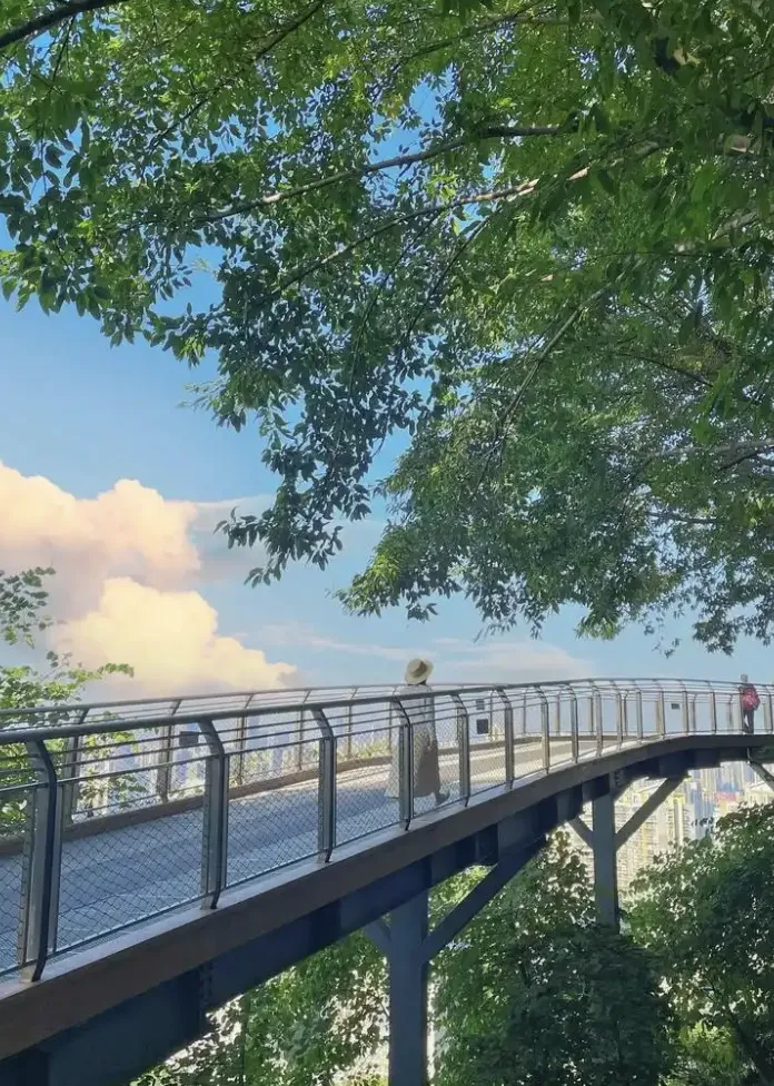 d51814a95a95f442b16953e1aec79847-sz_1469925